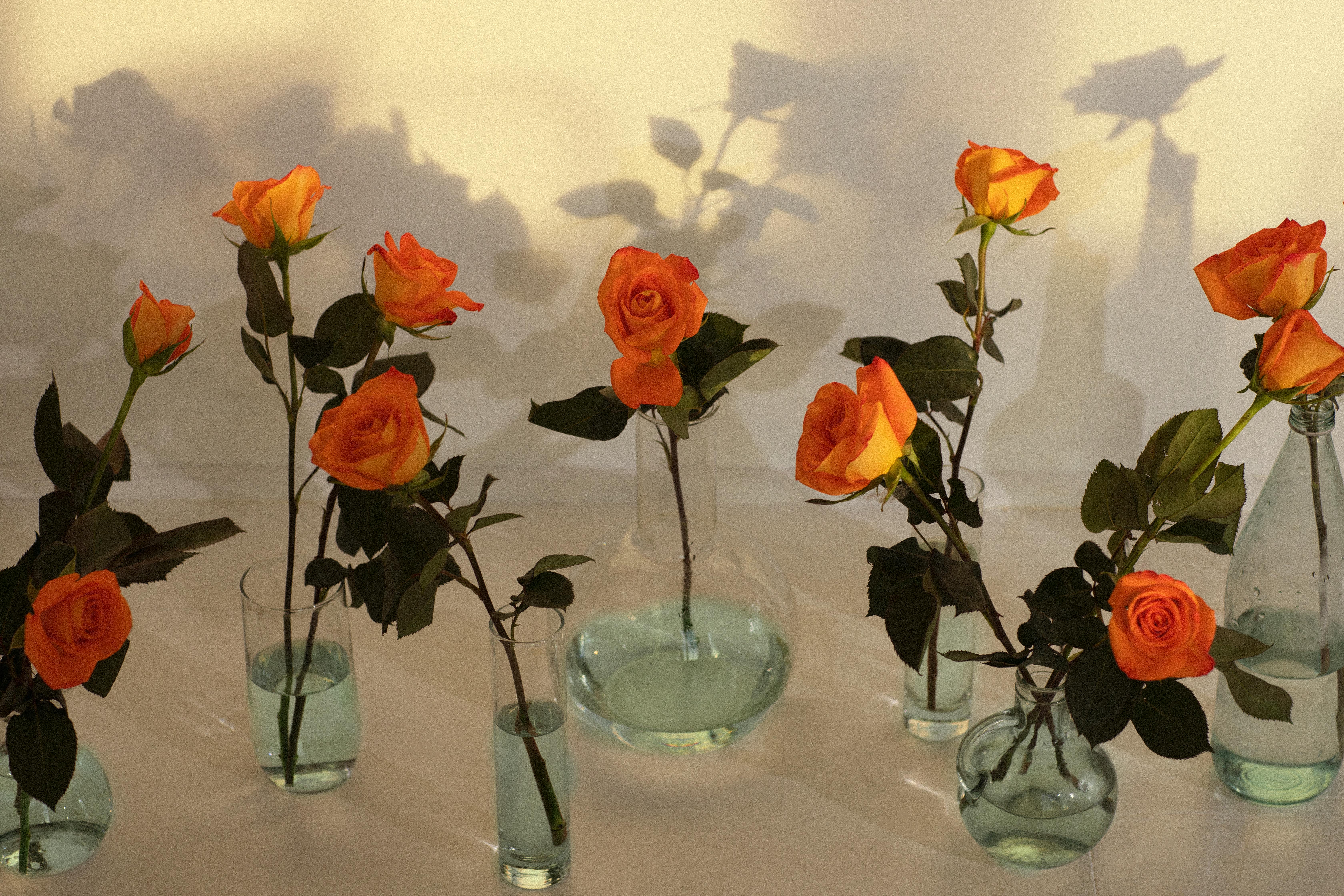 Step by step guide to hang a curtain rod