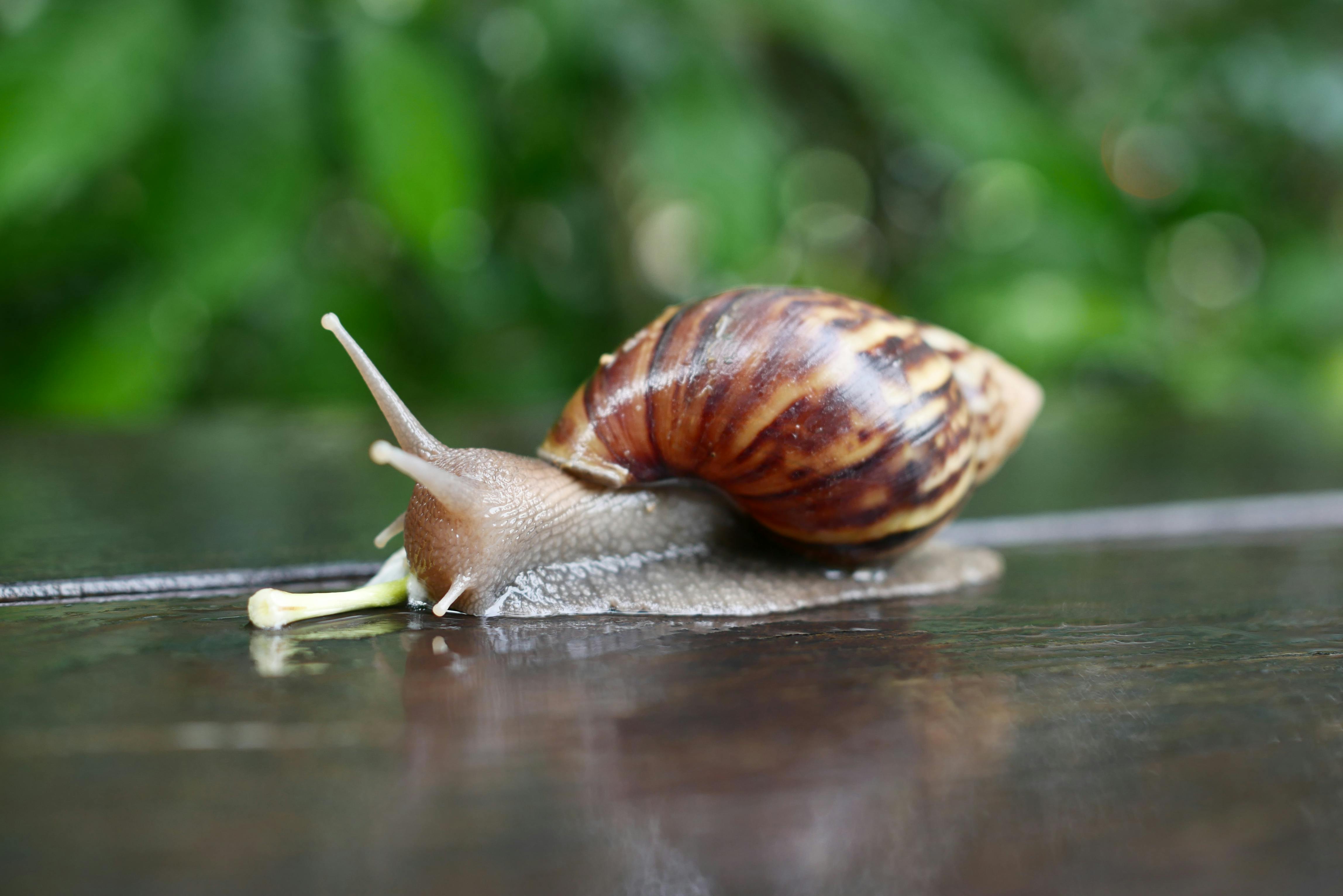 Smart Ways to Share Screen on Zoom in 2025: Get Started!